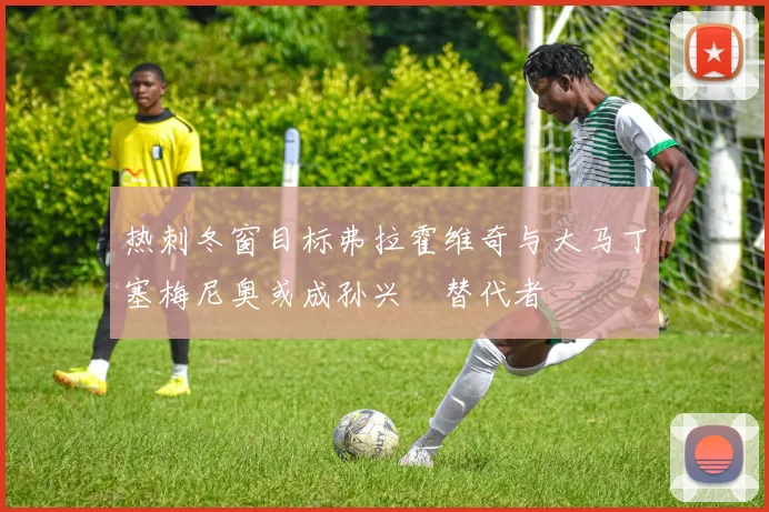 热刺冬窗目标弗拉霍维奇与大马丁塞梅尼奥或成孙兴慜替代者