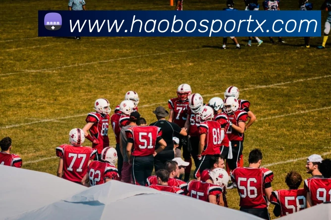 好博体育平台生态图