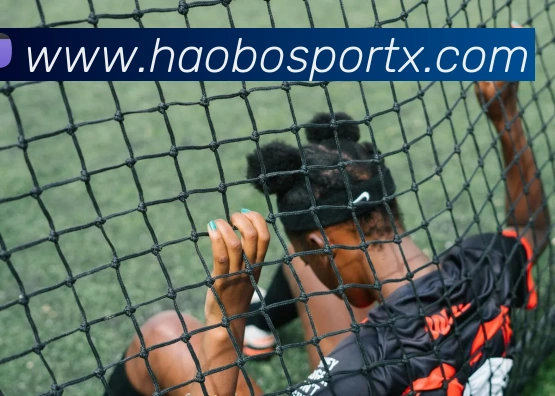 好博体育APP 封面图